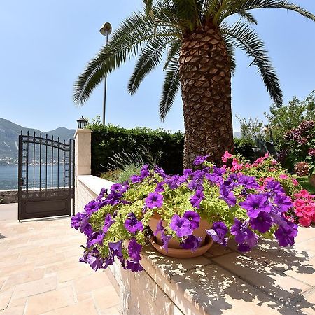 Maniva Penthouse By The Sea Apartman Kotor Kültér fotó
