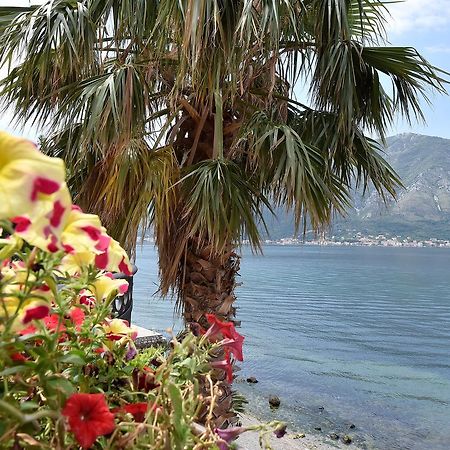 Maniva Penthouse By The Sea Apartman Kotor Kültér fotó