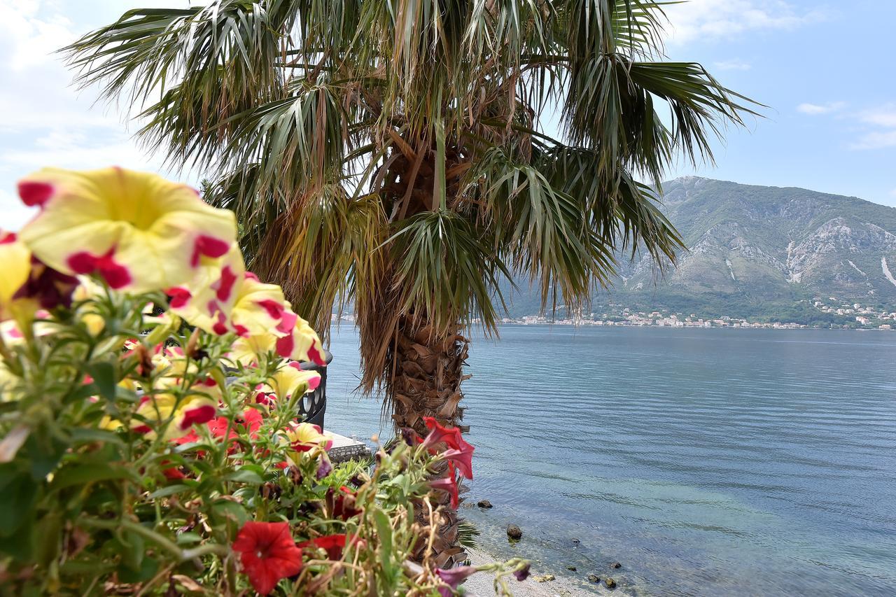 Maniva Penthouse By The Sea Apartman Kotor Kültér fotó